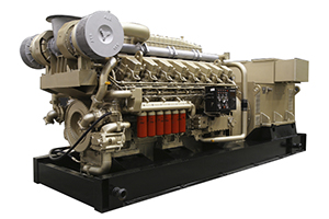 6000 Diesel Generating Set