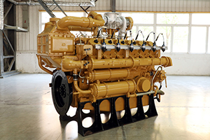 Natural Gas Generator (750-1100 kW)