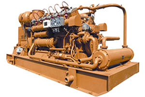 Natural Gas Generator (CNG)