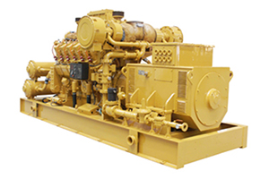 3412T Natural Gas Generator(1000KW)